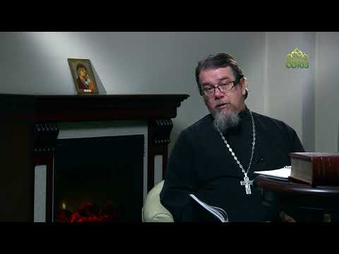 Видео: Читаем Добротолюбие. «Грешность и осуждение». Часть 2. Священник Константин Корепанов