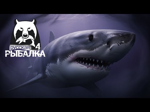 Видео: Русская Рыбалка 4  🔥🍀🔥 Russian Fishing 4