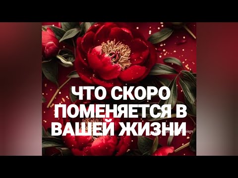 Видео: 💥 СРОЧНО ‼️ КАКИЕ СОБЫТИЯ СКОРО ПРОИЗОЙДУТ#таро#tarot ЗАВЕЛЕНАТАРО