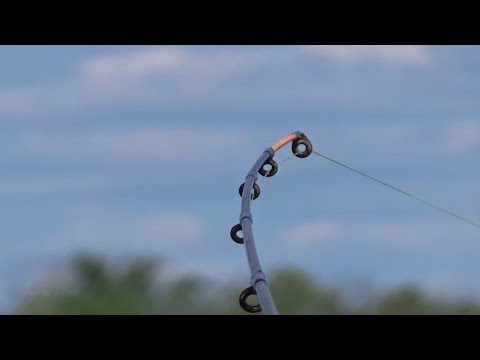 Видео: УЖЕ Работает! Первая Рыбалка на Фидер на Оке 2024! 4 мая.