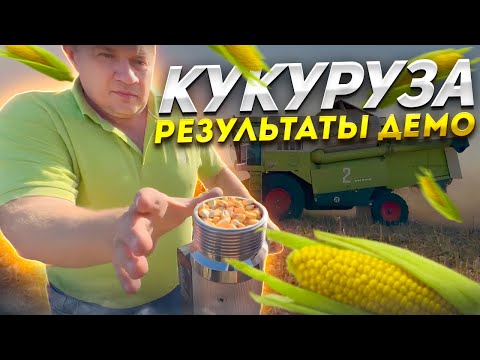 Видео: Результаты демо опыта кукурузы ДКС