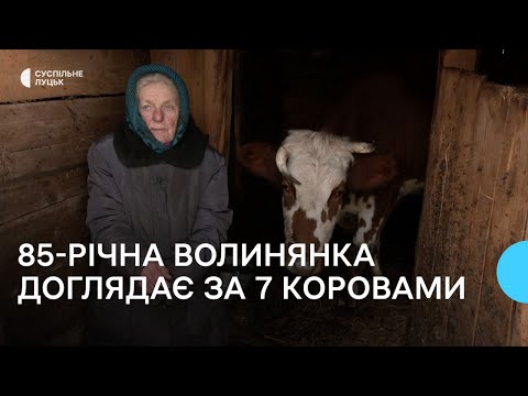 Видео: 85-річна волинянка доглядає за сімома коровами