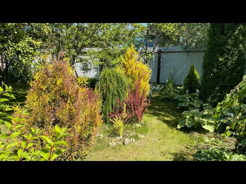 Видео: Моя любимая дача 28 июня 2024❤️, спустя месяц. Кошу, сажаю. Обзор сада❤️