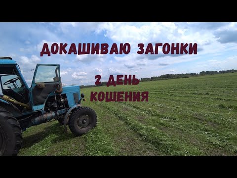 Видео: Докашиваю охваты. 2 день кошения. Сенокосные будни в #деревне Окунево.