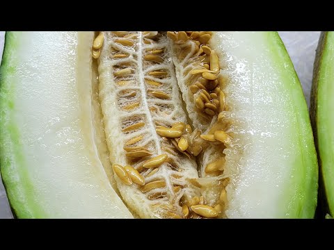 Видео: Обзор города. Туркменистан. Марыйские улочки.