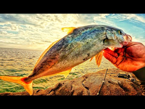 Видео: Light jiging забавления!