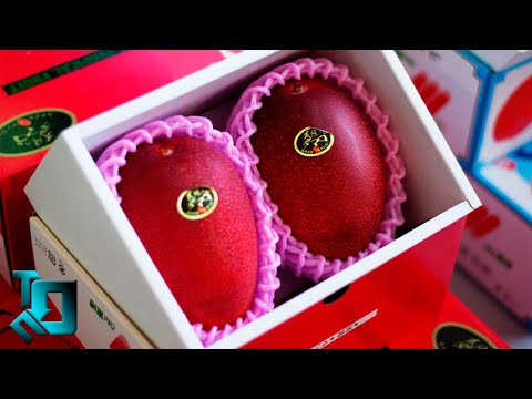 Видео: Самые Дорогие Фрукты в Мире / Топ 10
