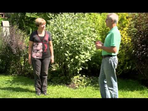 Видео: Старый сад. Ландшафтные хитрости. Выпуск 113