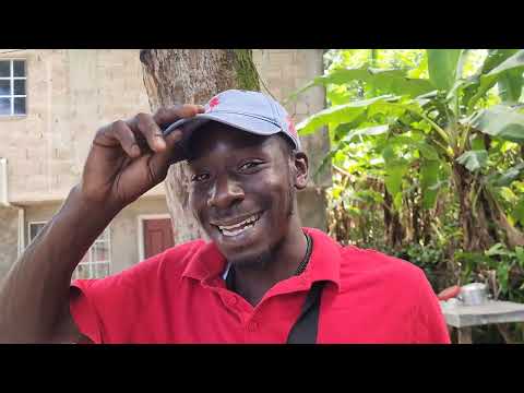 Видео: Всего лишь небольшое блюдо из моей подписки: куриный чоп-суи и белый рис