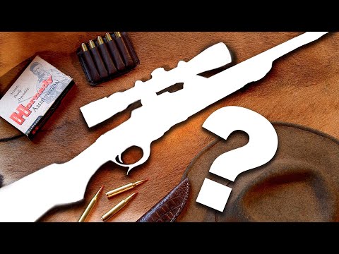 Видео: ЛУЧШАЯ охотничья винтовка может вас удивить