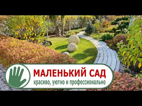 Видео: Видео журнал "СОФ №116" Возвращение в МАЛЕНЬКИЙ САД. Красиво, уютно и профессионально.