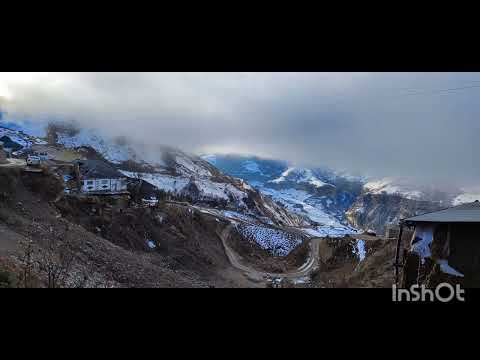 Видео: 15 декабря 2024 г.