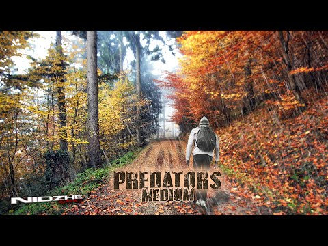 Видео: DayZ PvE ▶ В темноту с Фальшфейером. Predators Medium. СТРИМ #9