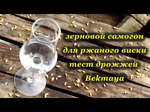Видео: Зерновой самогон для ржаного виски. Тест дрожжей Bekmaya