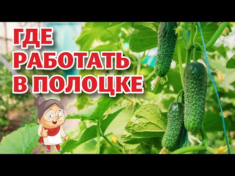 Видео: ВЕСНА-ЭНЕРГО приглашает на работу переселенцев из Латвии и других стран