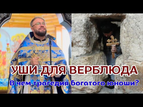 Видео: УШИ ДЛЯ ВЕРБЛЮДА: в чем трагедия богатого юноши?