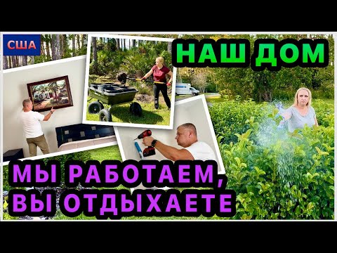 Видео: Что у нас на чердаке? Вешаем картину, сажаем пальмы, травим тлю. Занимаемся благоустройством дома