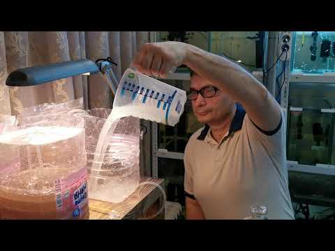 Видео: Корм для гуппи. Живая артемия. Часть 1