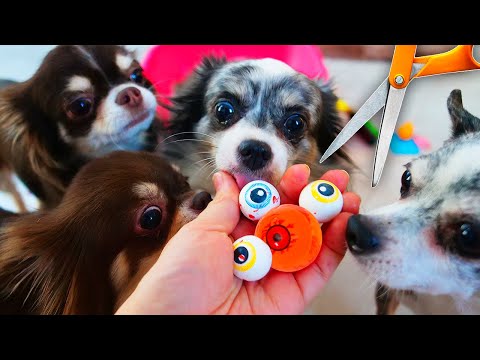 Видео: АНТИСТРЕССЫ ПРОТИВ ВОЛШЕБНЫХ ПИТОМЦЕВ! РАДУЖНЫЙ СЛАЙМ ЛИЗУН АНТИСТРЕСС ЧЕЛЛЕНДЖ