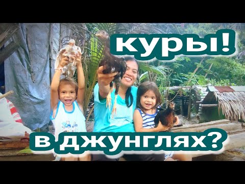 Видео: без присмотра