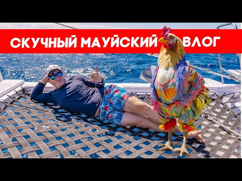 Видео: Пил джус, ел куки, делал выводы | FUSEMAN RUSLAN KHUSNIYAROV