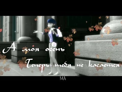 Видео: Леди Баг и Супер Кот | А моя осень теперь тебя не касается🍁