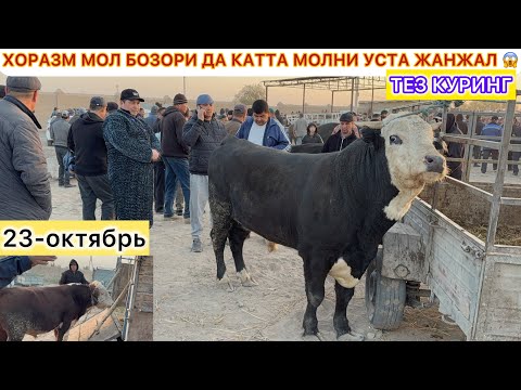Видео: ХОРАЗМ МОЛ БОЗОРИ ДА КАТТА МОЛНИ УСТА ЖАНЖАЛ 😱 ТЕЗ КУРИНГ 23-октябь 2025 г.