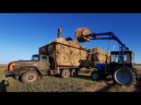 Видео: СЕНОКОС 2024. ПЕРВЫЙ ДЕНЬ ВЫВОЗКИ. ВЫВОЗИМ ТЮКИ)