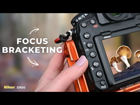 Видео: Как и почему я использую брекетинг фокусировки при съемке грибов