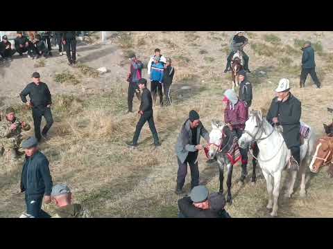 Видео: Алайкуда ат жарыш#Маадан авамын 70 жылдык юбилейине арналган маараке!