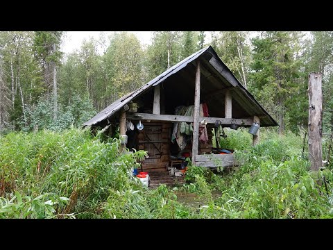 Видео: 900 км по северным рекам. 24 дня один в тайге. Ч5. Рыбалка в Заполярье. Бешеный клёв окуня. Изба