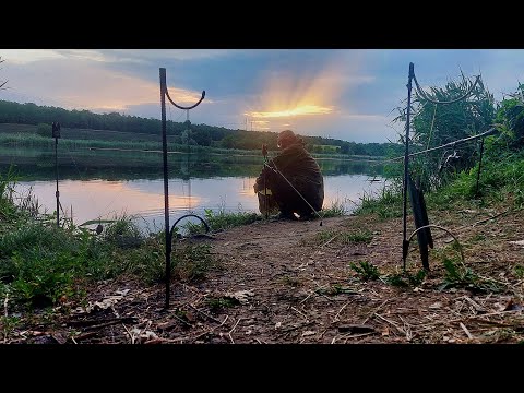 Видео: Королівський лов товстолобика. Риболовля на технопланктон із гумкою.