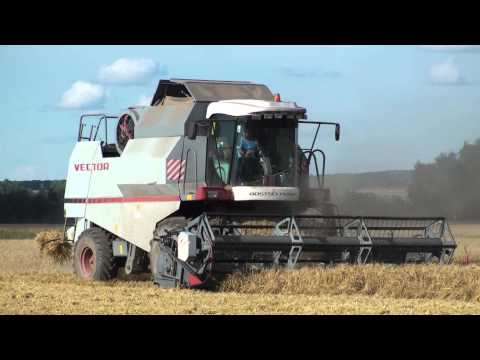 Видео: ROSTSELMASH VECTOR 410 на уборке ячменя.