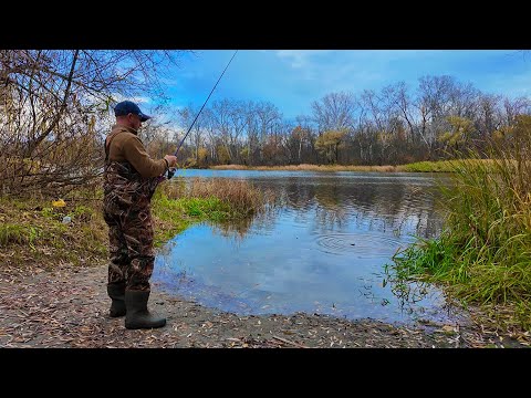 Видео: По БЕРЕГУ РІЧКИ ПСЬОЛ! РИБАЛКА НА СПІНІНГ!