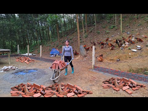 Видео: постройте ферму, используйте кирпичи и цемент для возведения прочного забора.