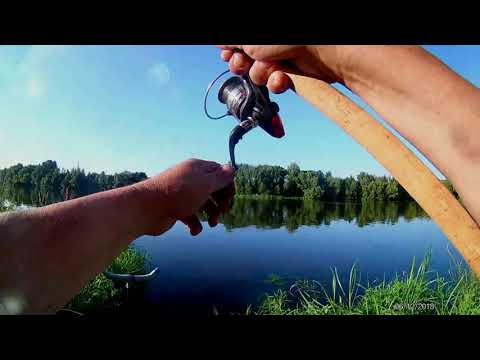 Видео: любительская рыбалка