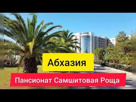 Видео: Пансионат Самшитовая Роща. Завтрак в темноте. Отдых в Абхазии.