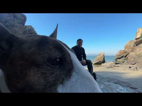 Видео: Почему я ушёл с завода и живу на 2 млн?мысли вслух.  Без монтажа. 왜 나는 공장을 떠나 200만 원으로 살고 있을까?