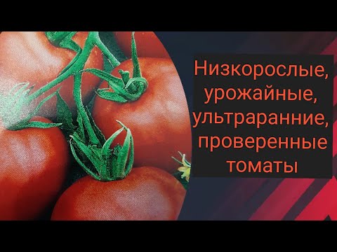 Видео: Ранние, урожайные, низкорослые томаты