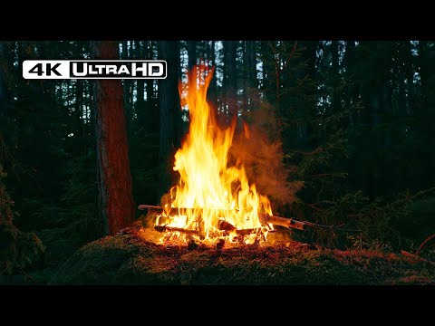 Видео: 4K Костер в тёмном лесу 🌛 Успокаивающие звуки природы — без ИИ