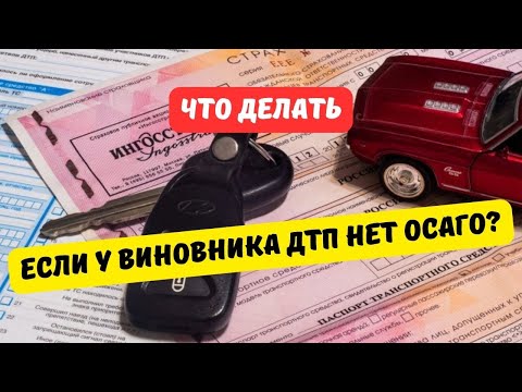 Видео: Что делать, если у виновника ДТП нет ОСАГО?