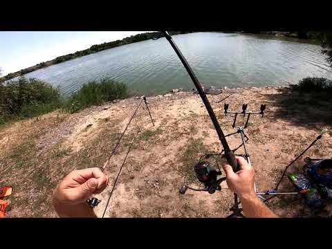 Видео: РОД ПОД НА КАРПА В ДЕЙСТВИИ .АМУР В ЗАМЕШАТЕЛЬСТВЕ