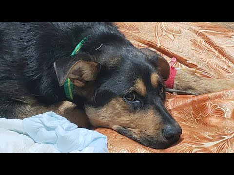 Видео: О наболевшем..._about the nauseating...