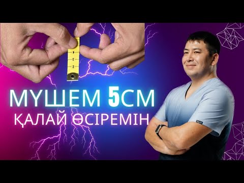 Видео: Мүшем кішкентай ((( , 5 сантиметр қысқама?Мүшенің қызметі
