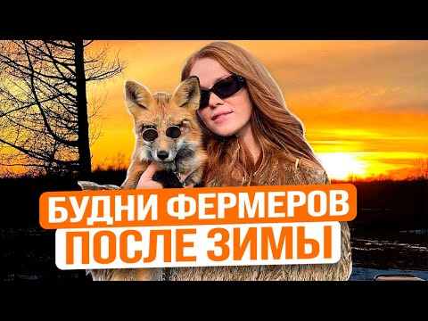 Видео: УБОРКА НА ФЕРМЕ ПОСЛЕ ЗИМЫ | Будни в деревне