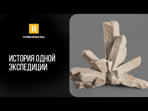Видео: История одной экспедиции