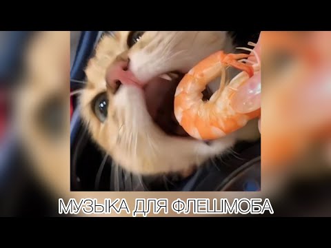 Видео: музыка для флешмоба❤️‍🩹