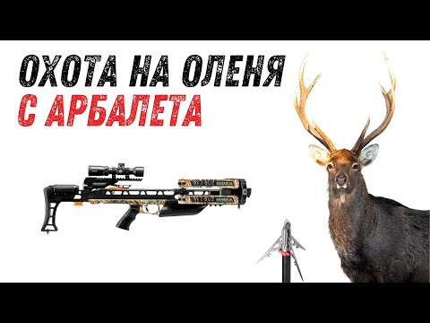 Видео: Охота на оленя с арбалета.