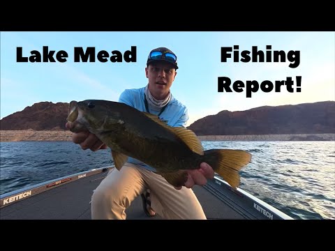 Видео: Отчет о рыбалке на озере Мид • Поймайте больше рыбы!