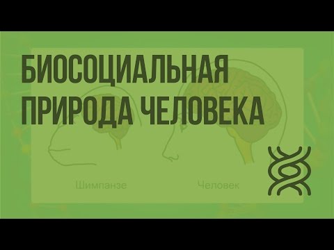 Видео: Биосоциальная природа человека. Науки об организме человека. Видеоурок по биологии 8 класс